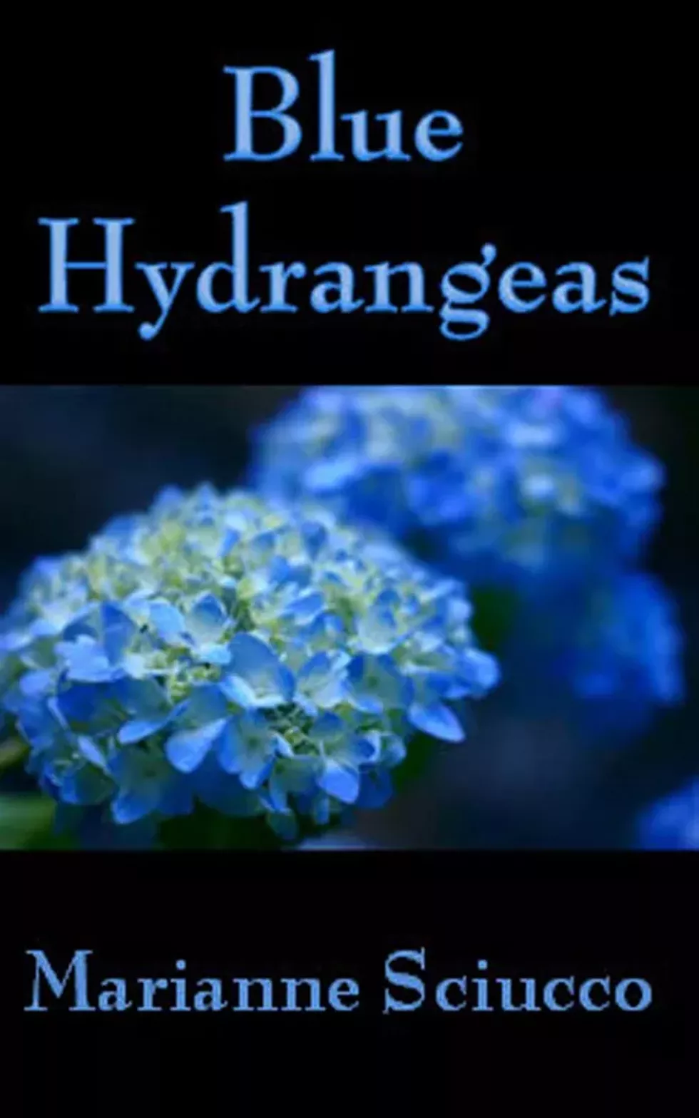 78b0a491_kindle_cover.webp