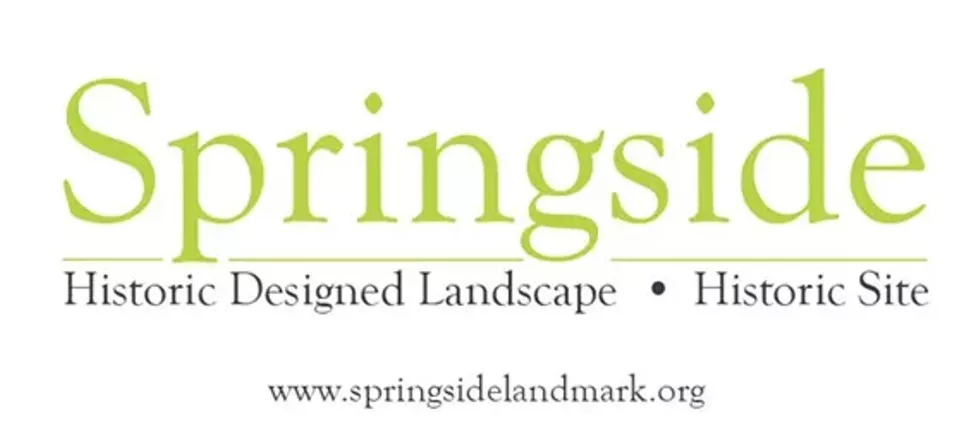 7b99ed98_springside_logo_forcalendars.webp