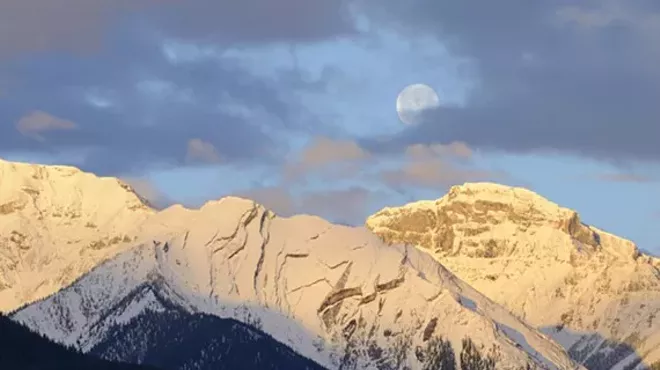 Image: Wild Places Show