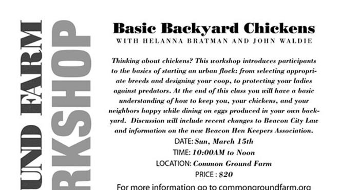Basic Backyard Chickens