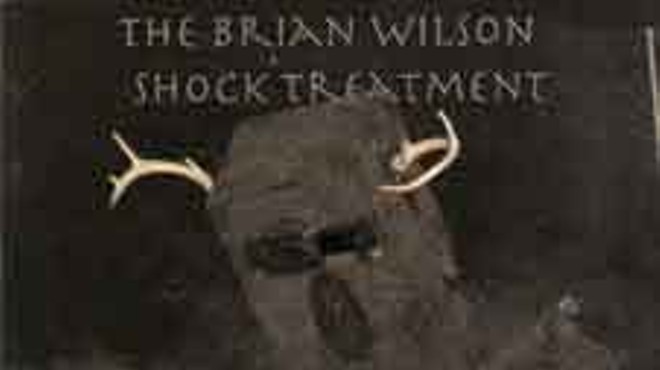 CD Review: The Brian Wilson Shock Treatment