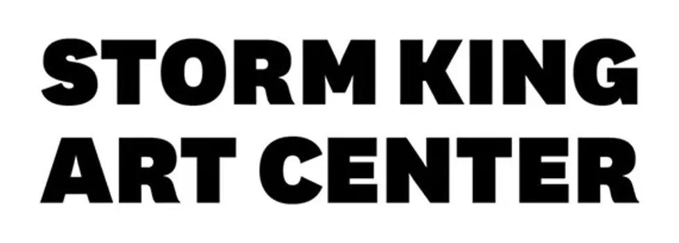 c1677365_skac_logo_bw.webp
