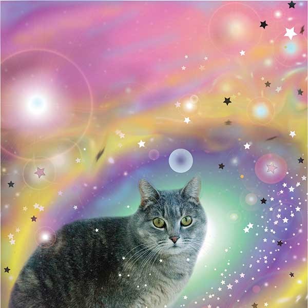 Cosmic Chrono Cat, Becky Todd, Digital Construction, 2013. Cover design by Jaclyn Murray.