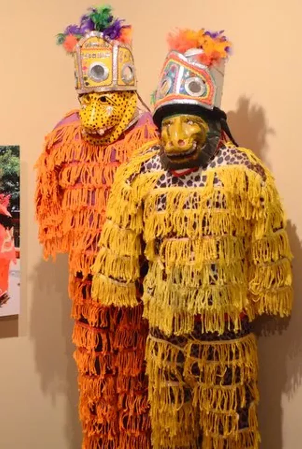 fb9a6b40_dsc_4424.webp