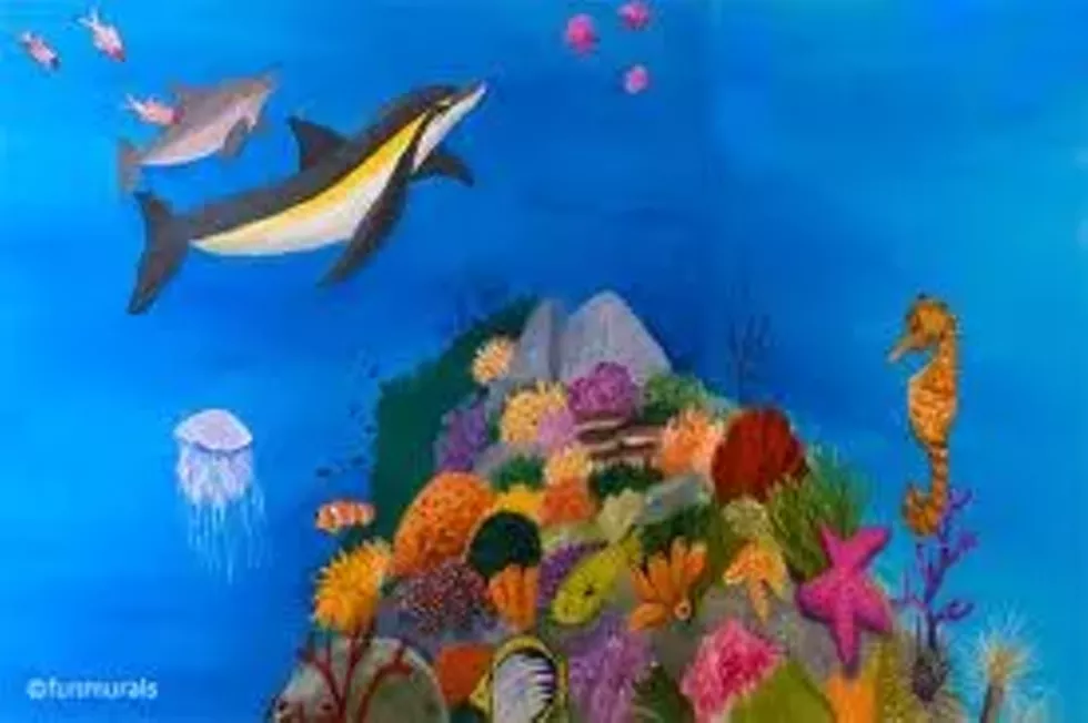 3fd61251_coral_reef.webp