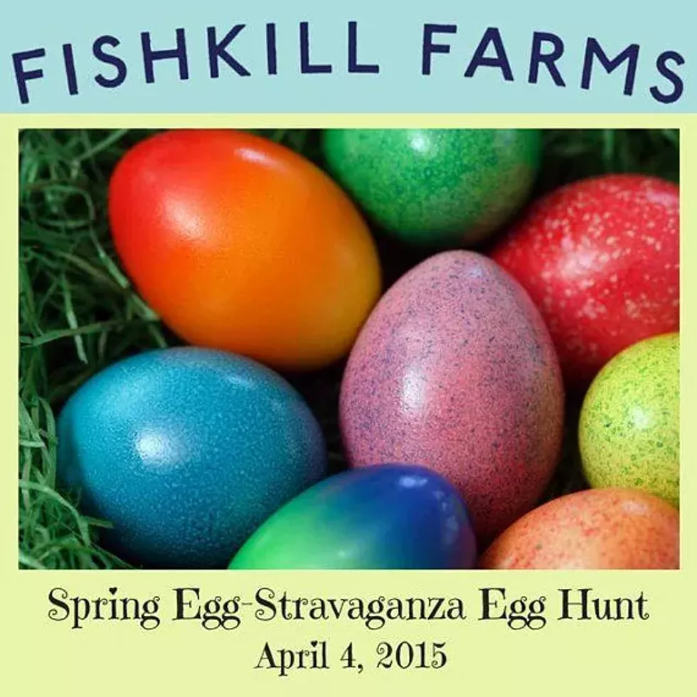 26c558e5_egg-hunt-2015.webp