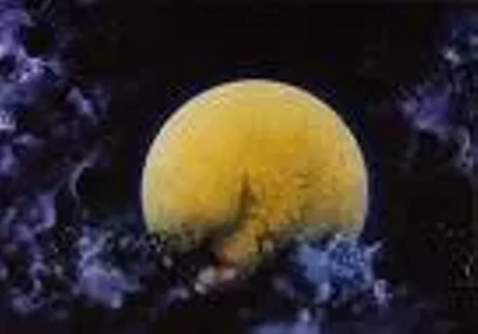 e350c0da_full_moon_2_2_.webp