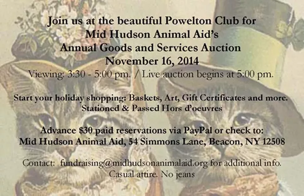 aede9e4b_mhaa_auction_handouts_v2.2.webp