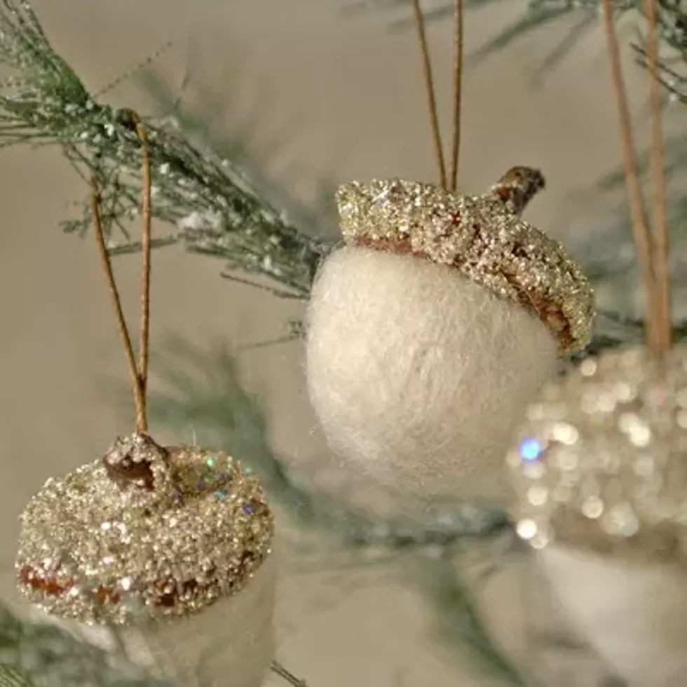 5a123634_acorns.webp