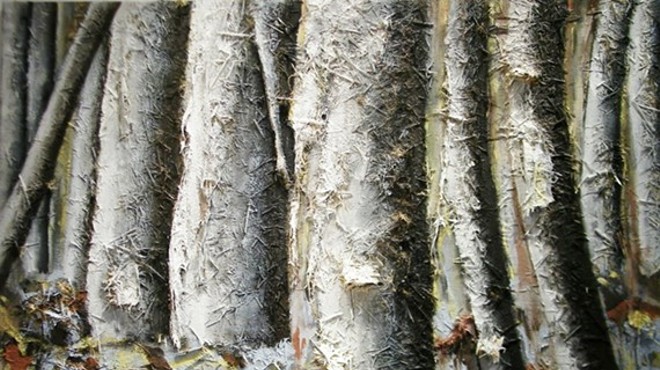 Maria Lago: Entre Abedules/ Between Birches