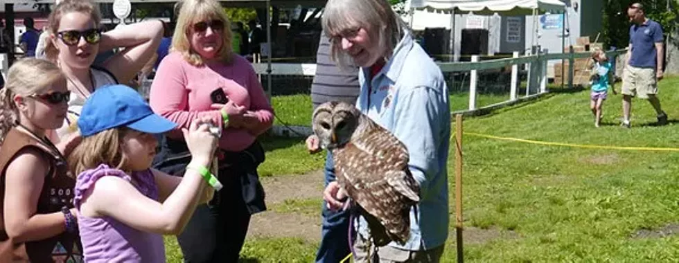 Meet magnificent birds of prey up close!
