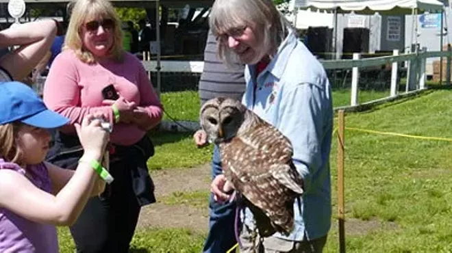 Image: Birds of Prey Day