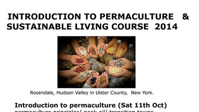 Permaculture and Sustainability Workshops by Alex Chellet
