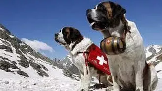 Image: Pet First Aid, CPR & Disaster Preparedness Course