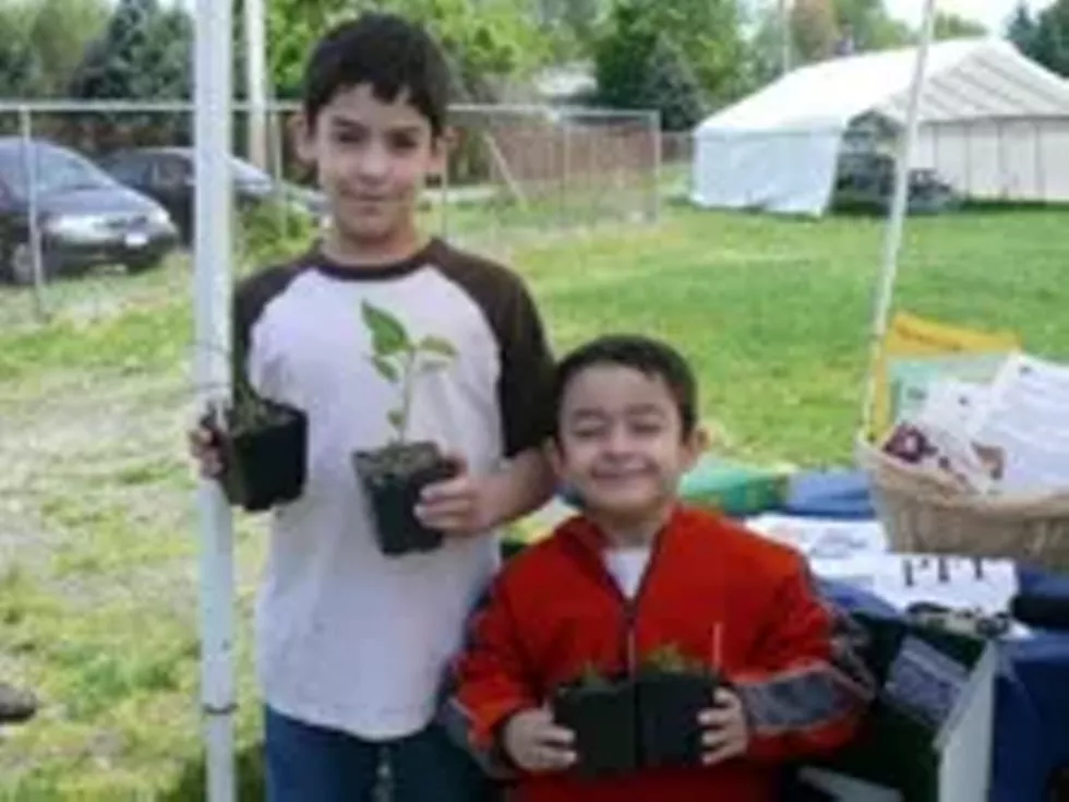 1f0687c2_plant_sale.webp