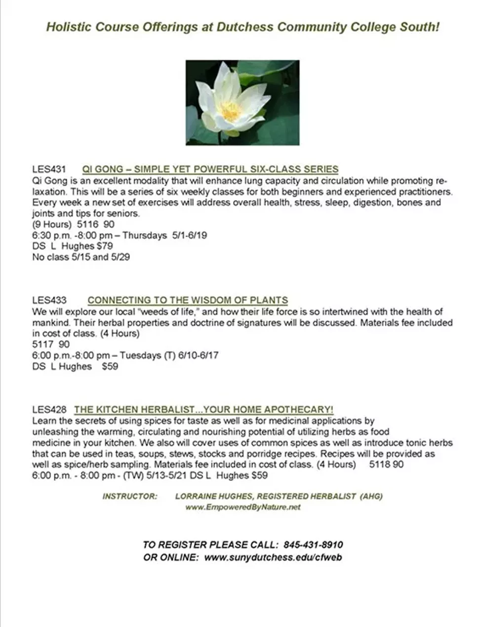 d714bc31_holistic_courses_at_dcc_south_-_summer_2014_final.webp