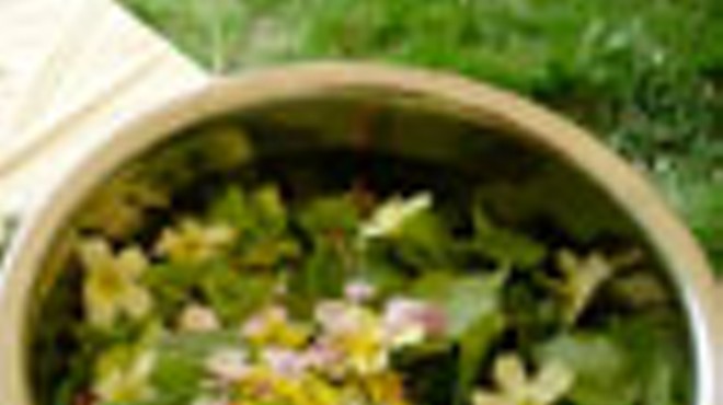 Spring Herbs Workshop: Wild Foraging and Spring Tonics