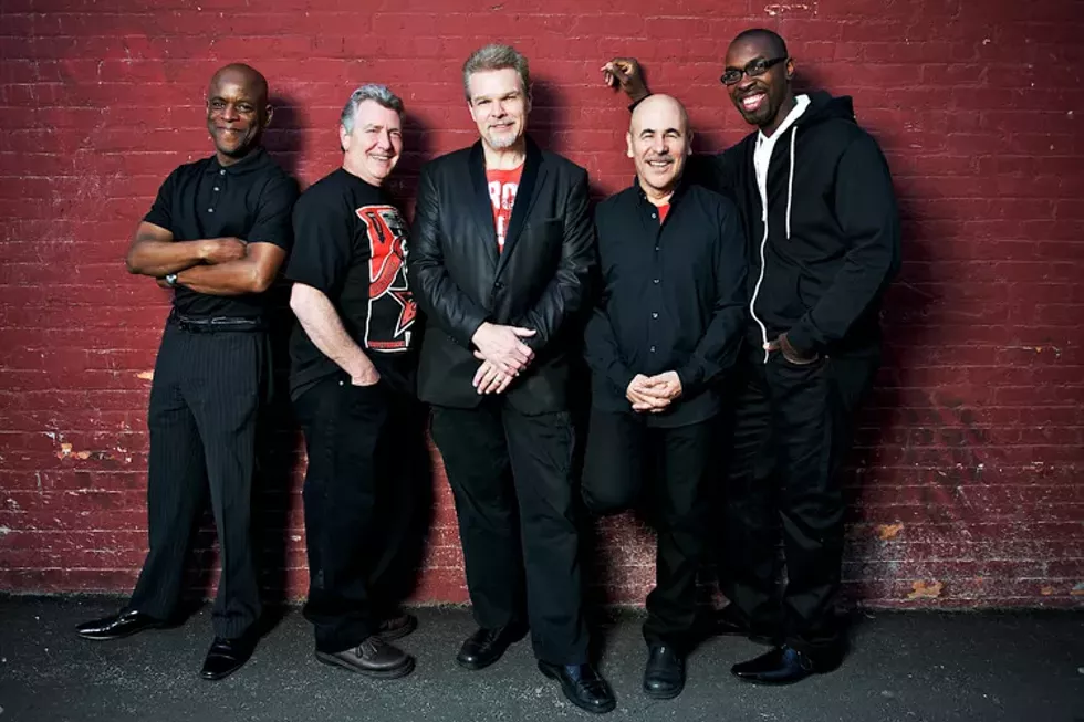 spyrogyra.webp