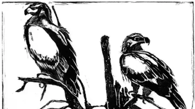Image: Other Creatures: Woodcuts and Woodblocks by Flavia Bacarella