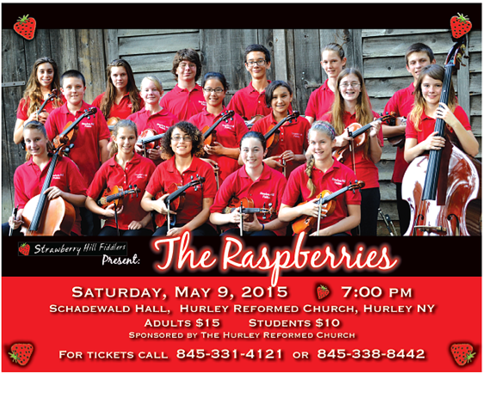 The Raspberries in Concert
