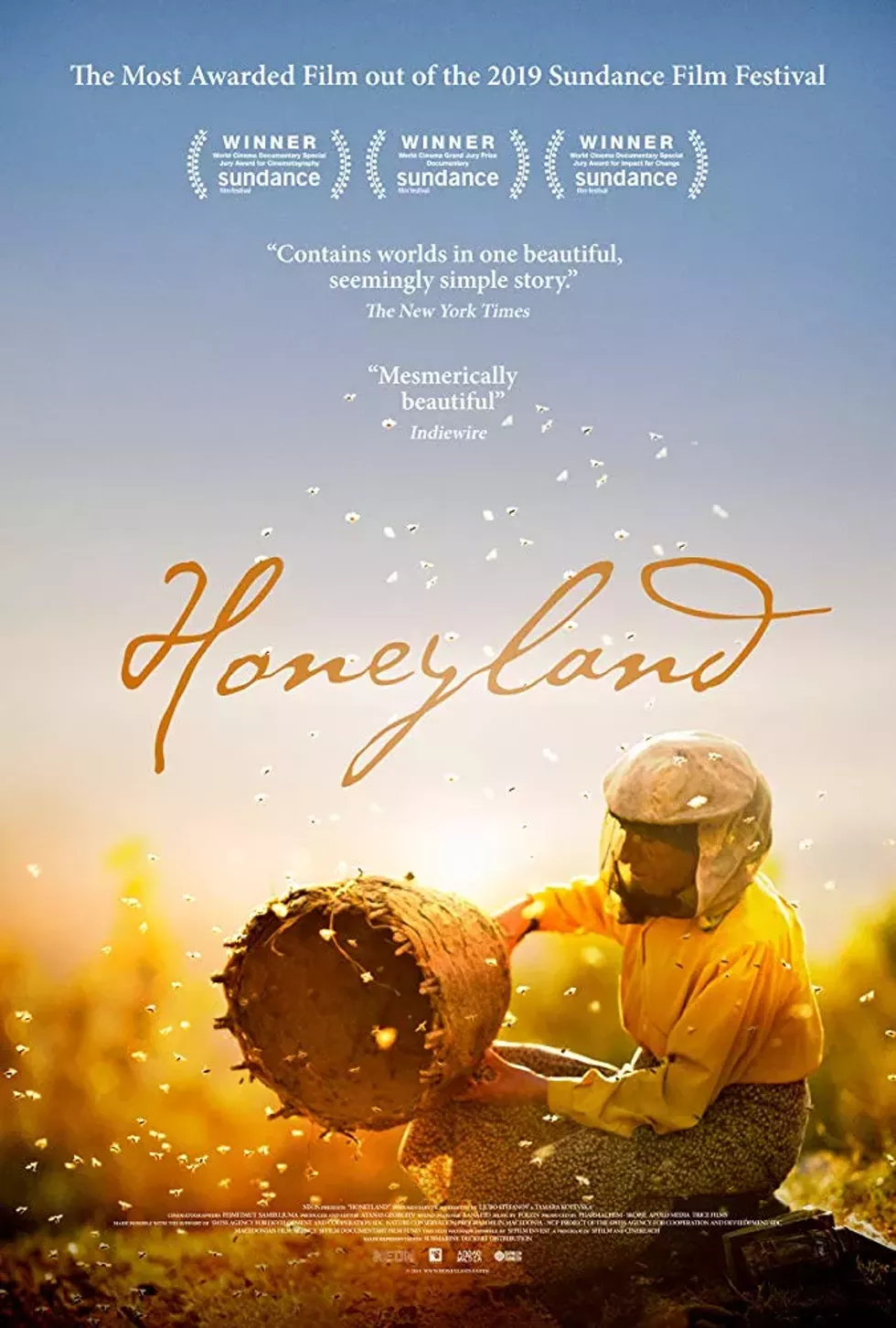 honeyland.webp