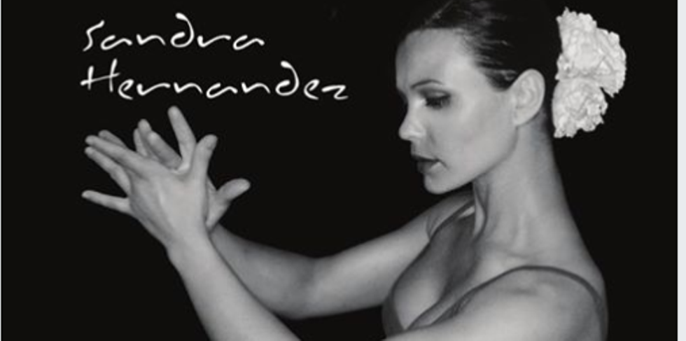 flamenco.png