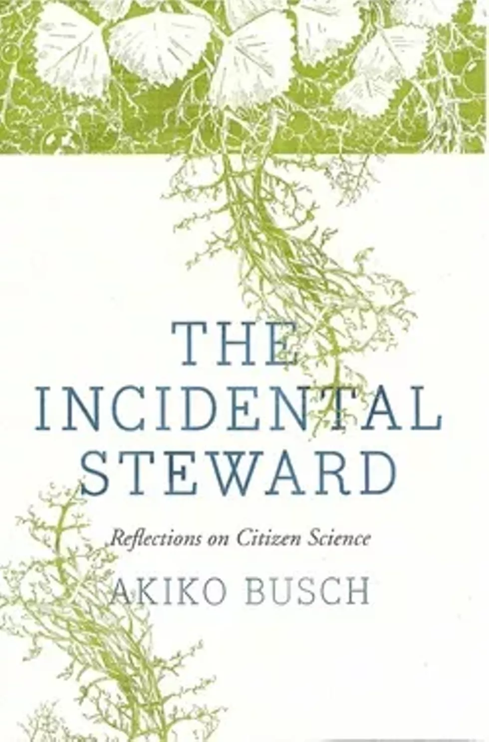053baf3a_incidentalsteward.webp