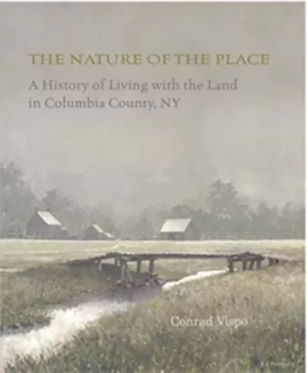 dd9d2311_the-nature-of-the-place-330x400.webp