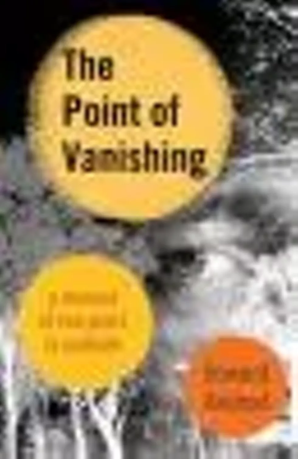b6f3ae5f_point_of_vanishing.webp