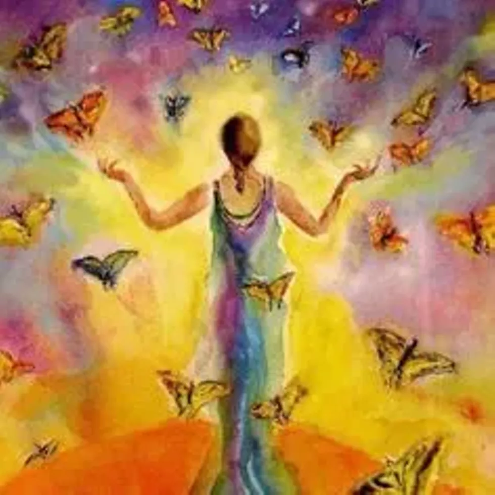 c80b13e2_butterflies.webp