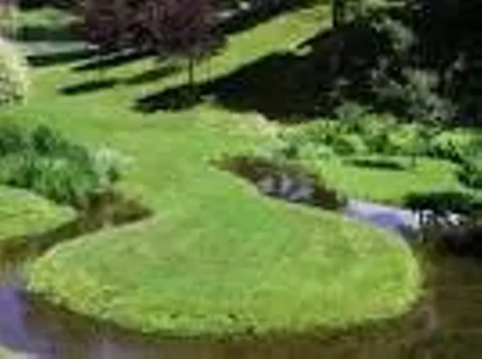 2d46d576_innisfree.webp