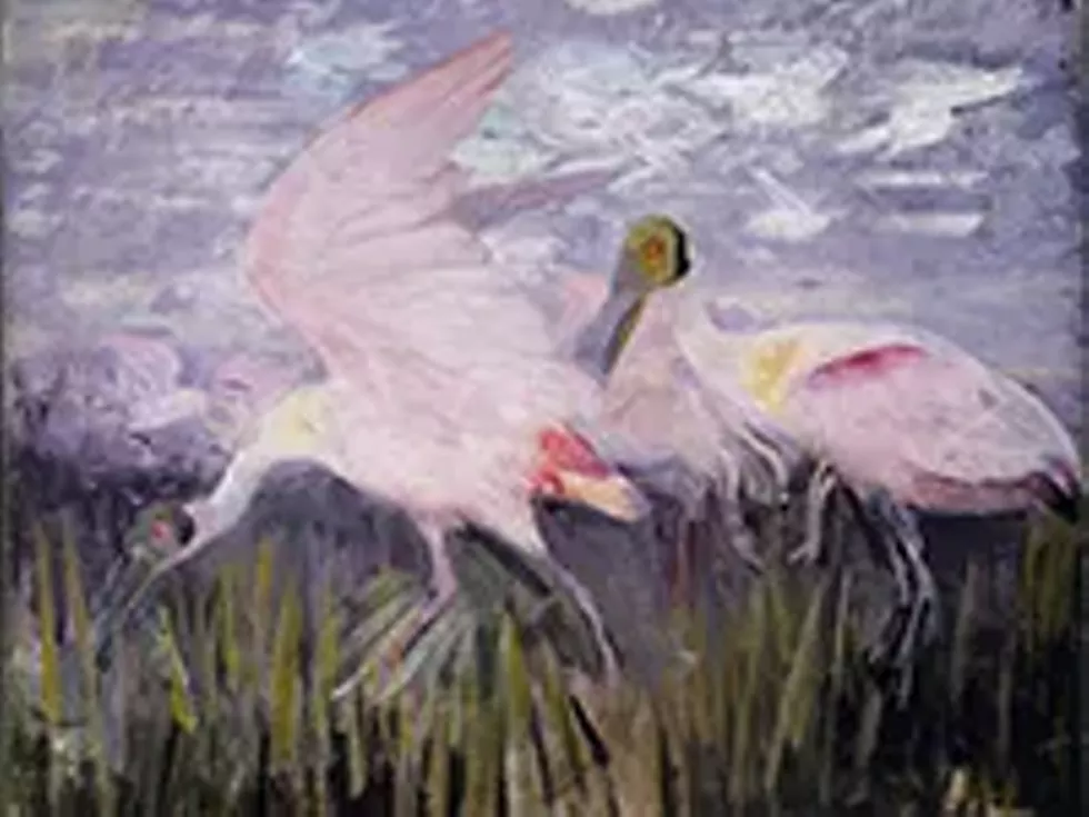 531c3ad0_thayer_spoonbills_x200.webp