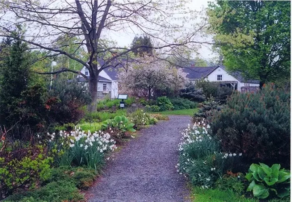 81525148_berkshire_botanical_garden.webp