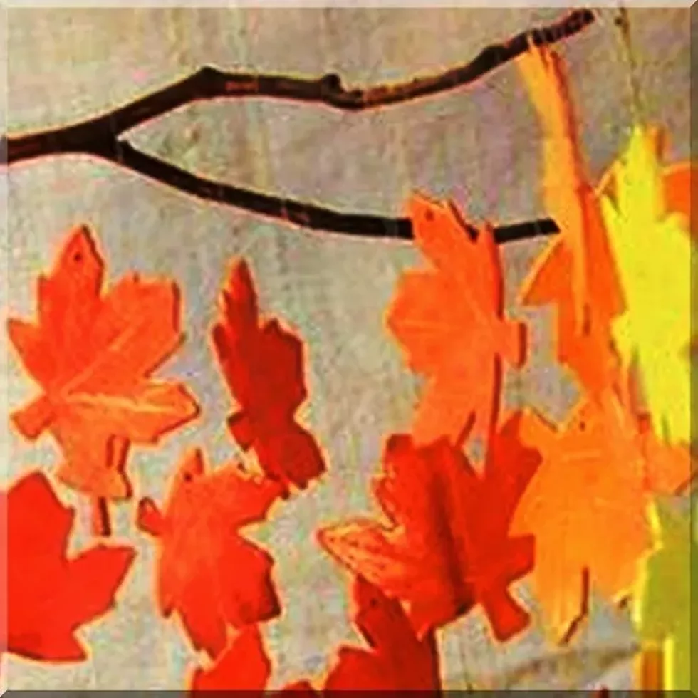 7ac7ee43_clipboard01autumnblazesquare.webp