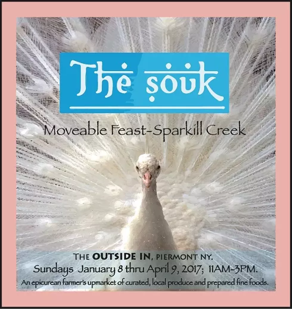 12b29db4_2017_souk_peacock_outside_in_piermont_ny_4.75x4.75_300.webp