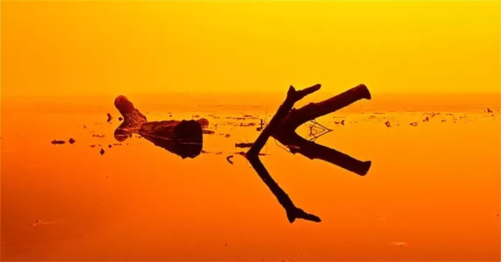 04813c60_l_orange.webp
