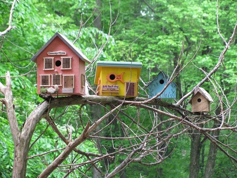 c5175270_birdhouses.jpg