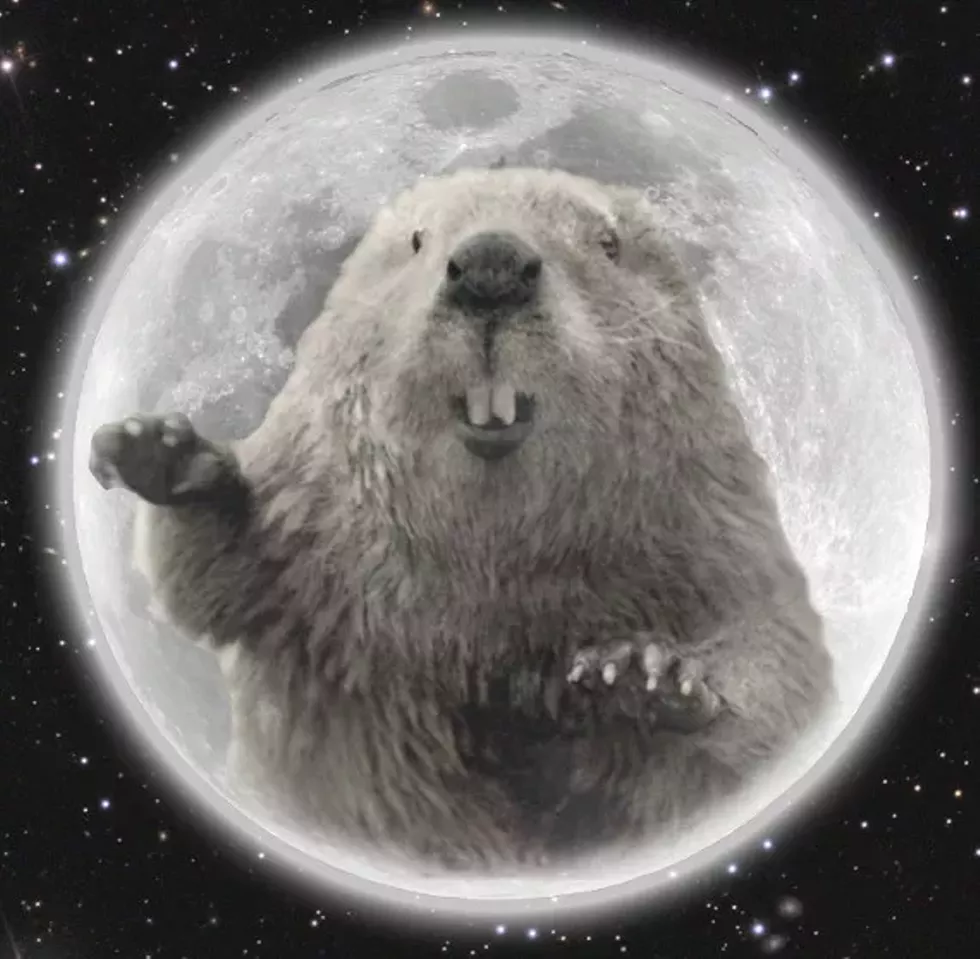 d96d426a_full-beaver-moon.webp