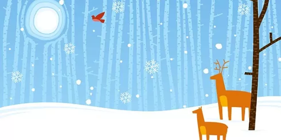959e70a3_winterscene_2_.webp