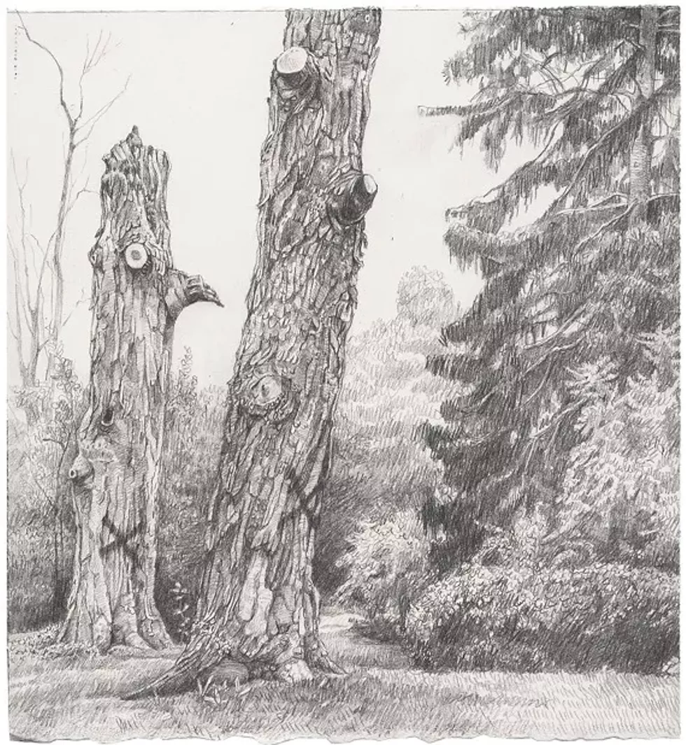 3c437d5d_talluto_two_trees_cutting_8.5x9.webp