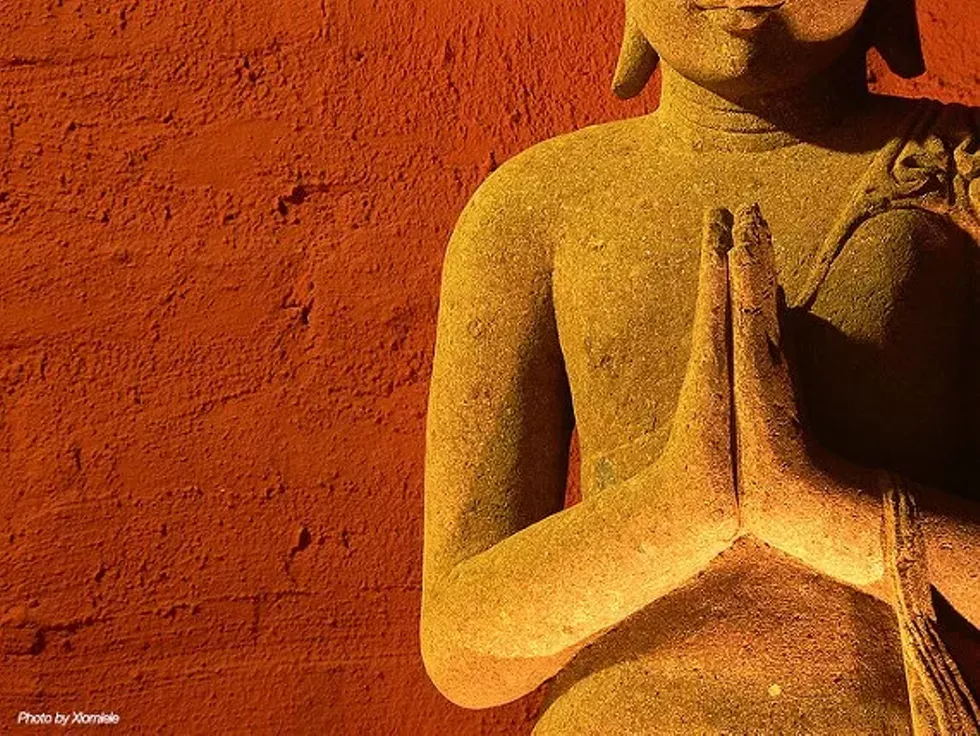 afd35145_buddha_hands.webp