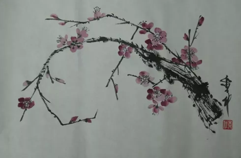 d6d6ccc7_img_3001.webp