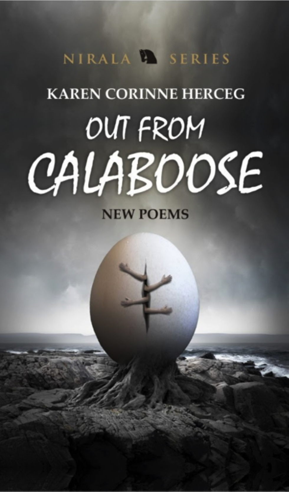 a6e3338a_out_from_calaboose_cover_-_website.png