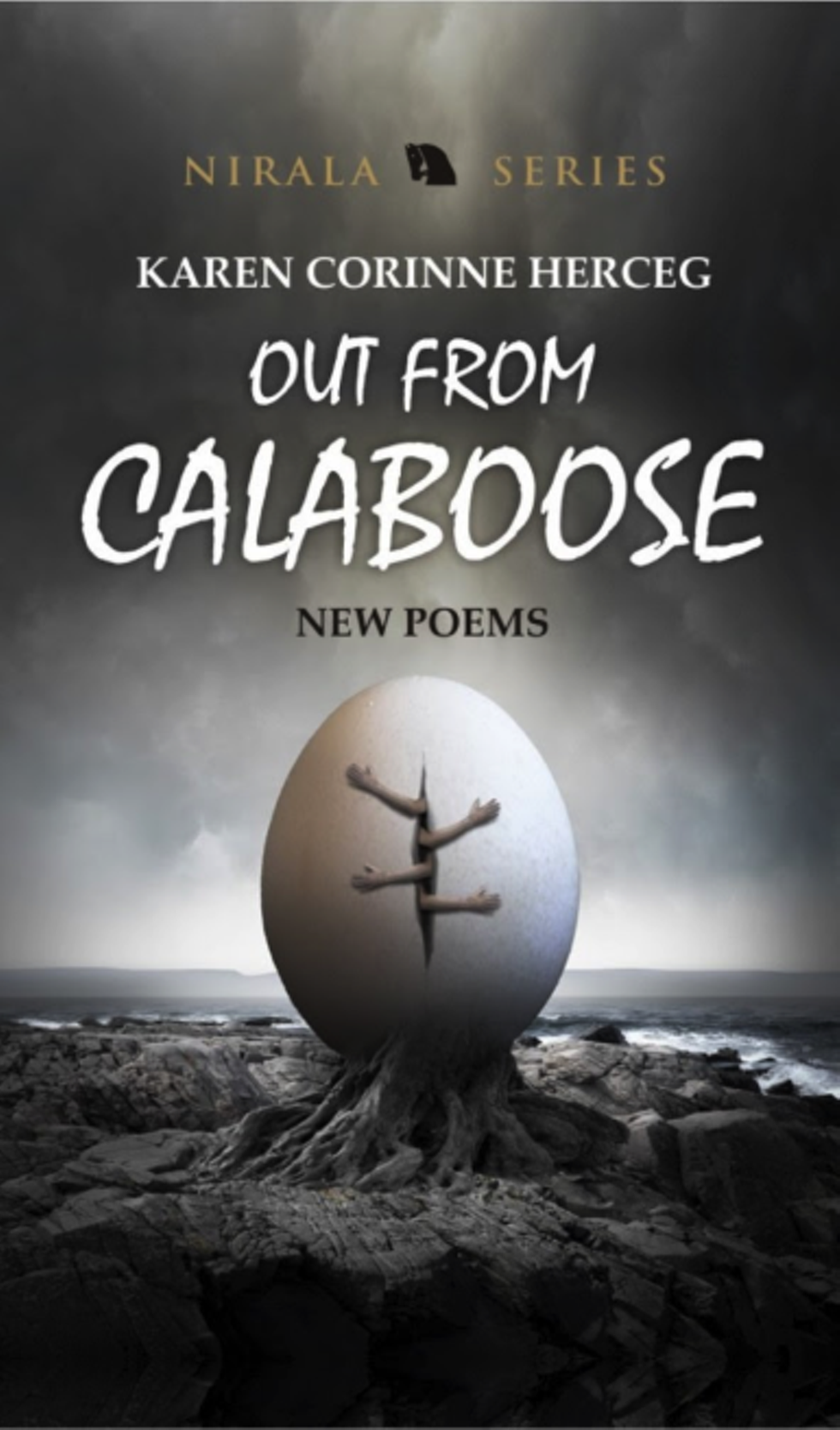 258ad9ec_out_from_calaboose_cover_-_website.png
