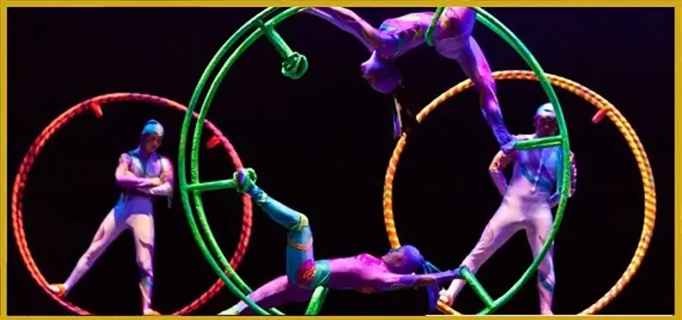 195d50a3_golden_dragon_acrobats.webp