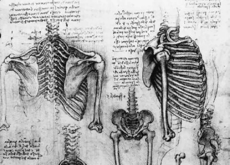 293808b8_da_vinci_cropped.webp