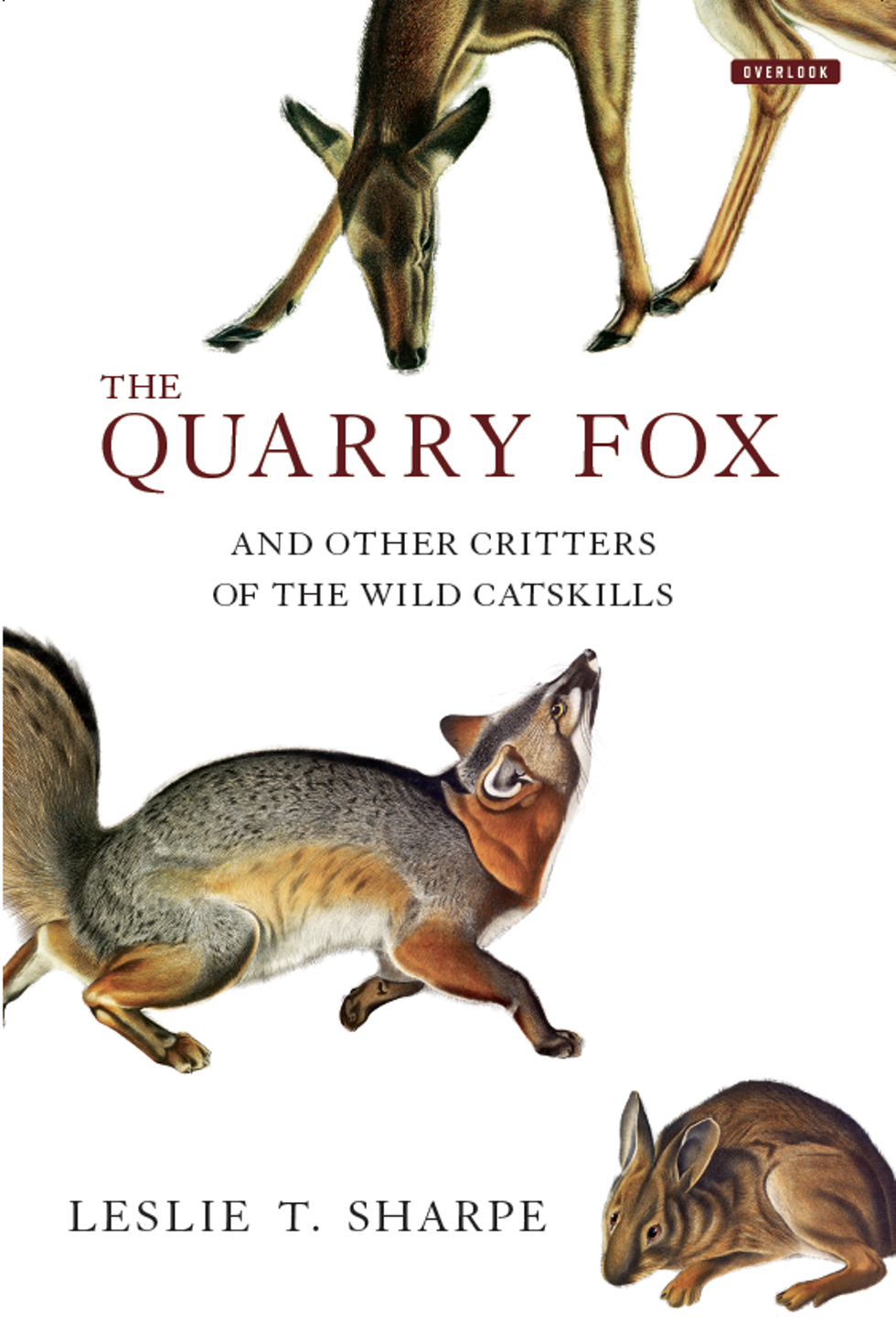 7bac515a_quarry_fox_jacket_.png