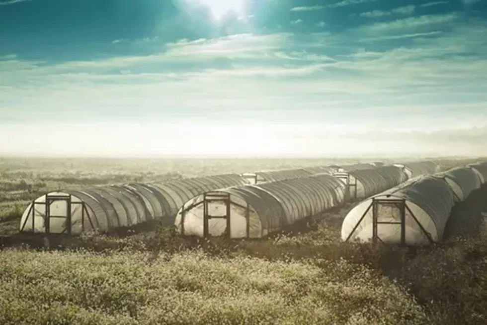 35c2d6b2_greenhouse01a_copy-2.webp