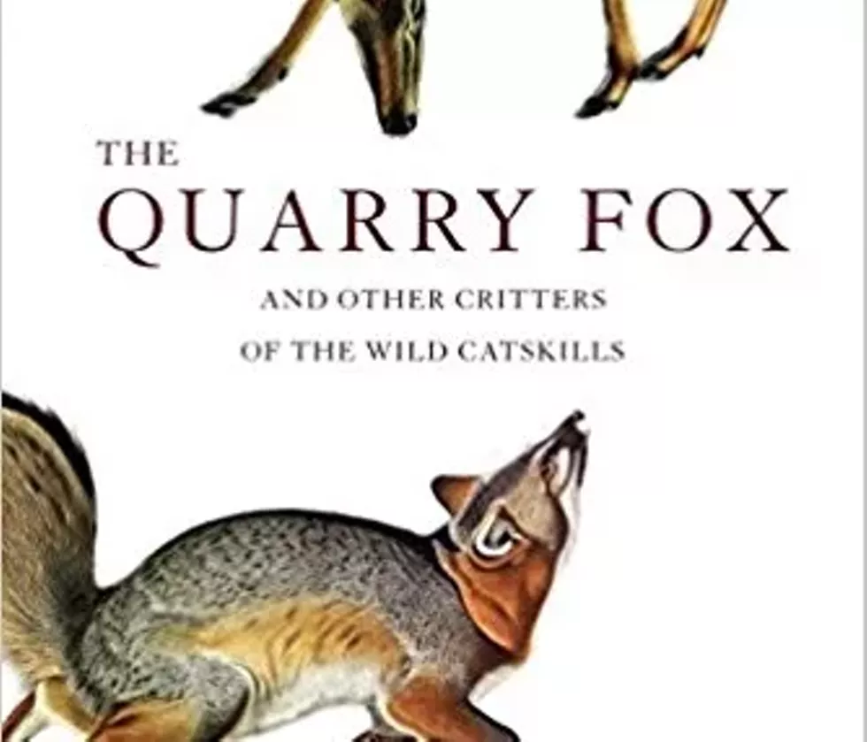 4fe02c98_leslie_sharpe_book_cover.webp