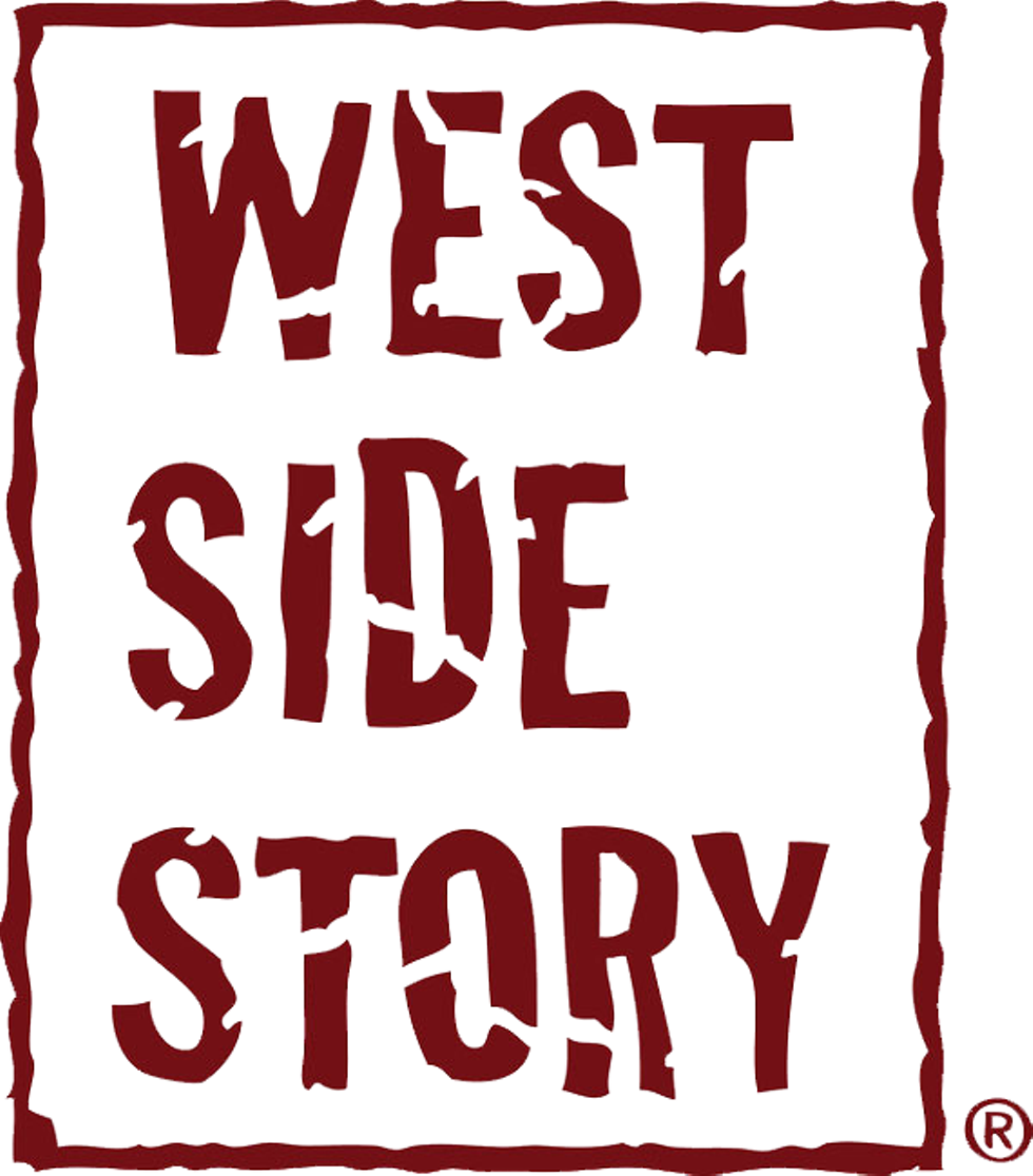 83dd1311_wsslogo.png